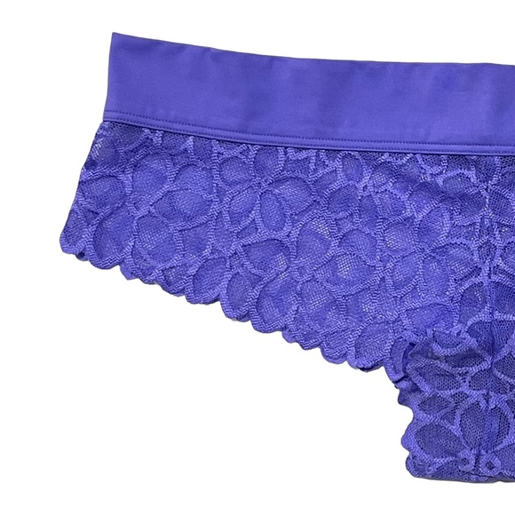 VS PINK 2016 Vintage Extra Low Rise Cheekster Semi-sheer Mesh Floral Print Panty - Picture 5 of 16